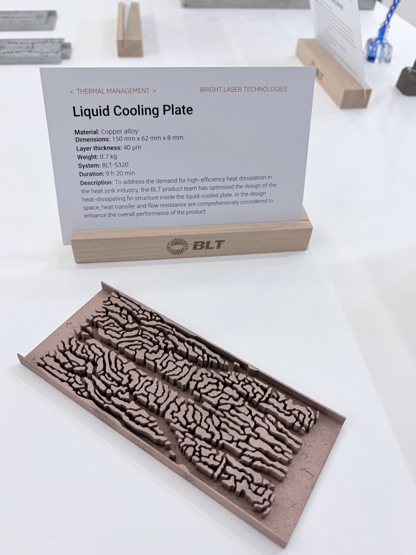 Copper additive liquid cold plate with coral-style generative internal fins